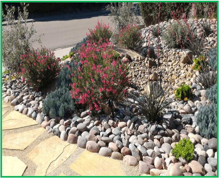 Advantages Of Xeriscaping Great Potential For Urban Areas Agri Articles
